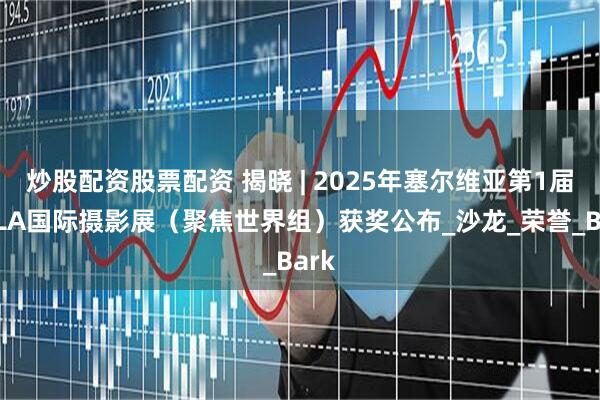 炒股配资股票配资 揭晓 | 2025年塞尔维亚第1届KULA国际摄影展（聚焦世界组）获奖公布_沙龙_荣誉_Bark